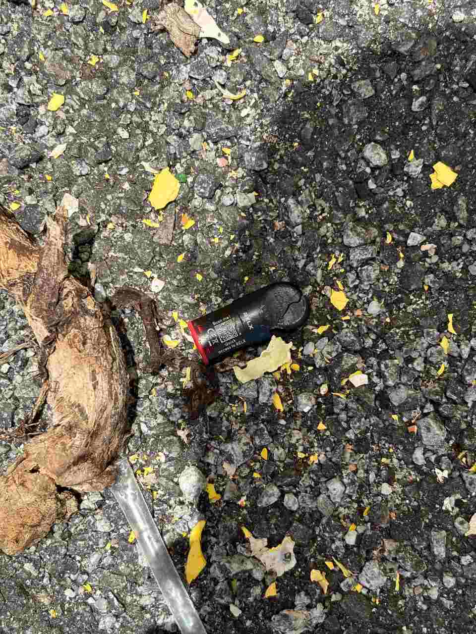 Environmental Impact
